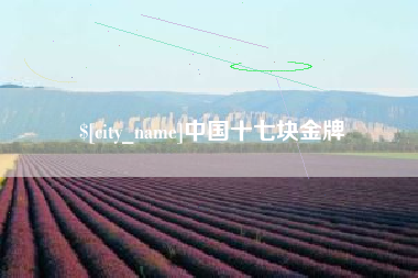 苏州中国十七块金牌