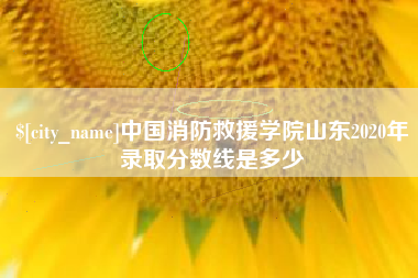 苏州中国消防救援学院山东2020年录取分数线是多少