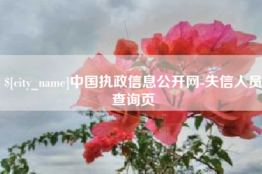 苏州中国执政信息公开网-失信人员查询页