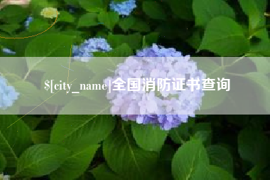 苏州全国消防证书查询