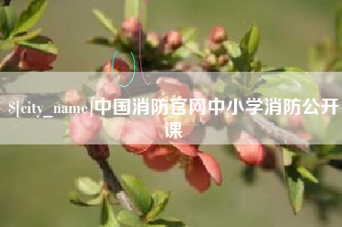苏州中国消防官网中小学消防公开课