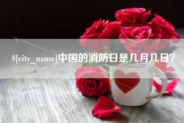 苏州中国的消防日是几月几日？