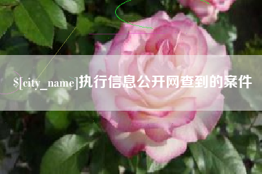 苏州执行信息公开网查到的案件