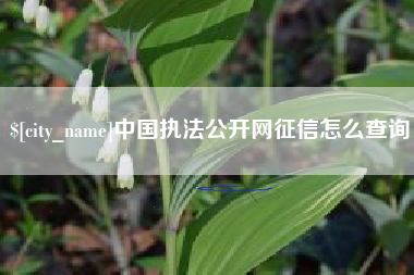 苏州中国执法公开网征信怎么查询