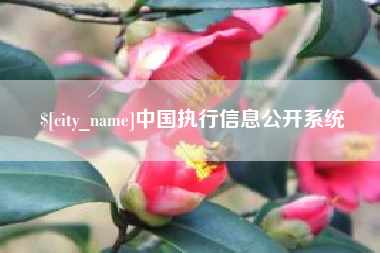 苏州中国执行信息公开系统