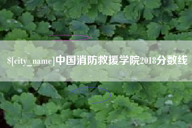 苏州中国消防救援学院2018分数线