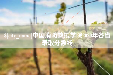 苏州中国消防救援学院2020年各省录取分数线