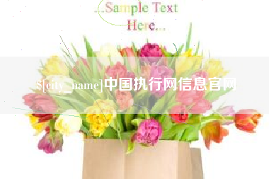 苏州中国执行网信息官网