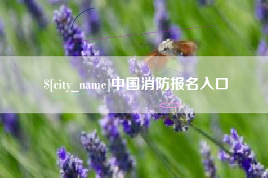 苏州中国消防报名入口