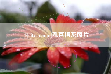 苏州九宫格龙图片