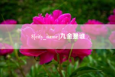苏州九金是谁