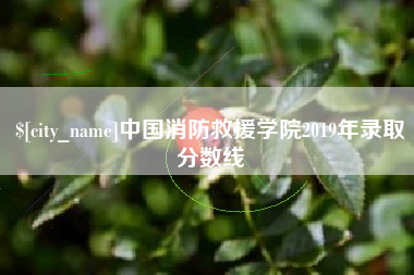 苏州中国消防救援学院2019年录取分数线