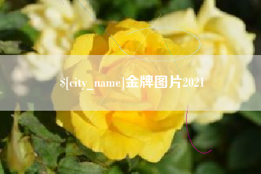 苏州金牌图片2021