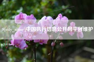 苏州中国执行信息公开网平台维护