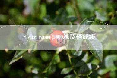 苏州5000米及格成绩