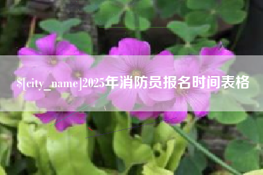 苏州2025年消防员报名时间表格
