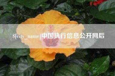 苏州中国执行信息公开网后