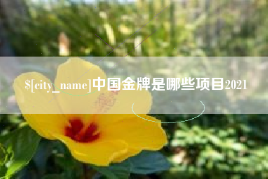 苏州中国金牌是哪些项目2021