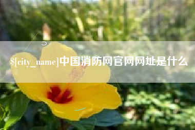苏州中国消防网官网网址是什么