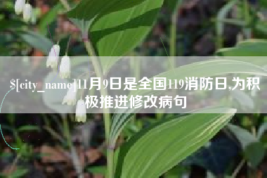 苏州11月9日是全国119消防日,为积极推进修改病句
