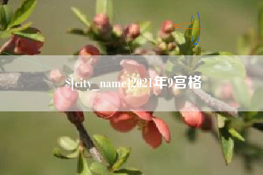 苏州2021年9宫格