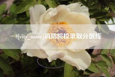 苏州消防院校录取分数线