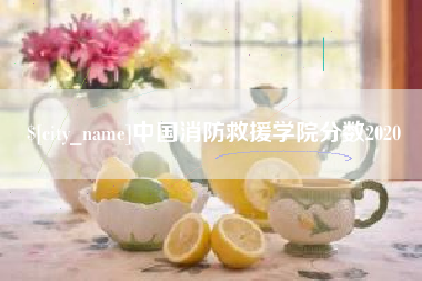 苏州中国消防救援学院分数2020