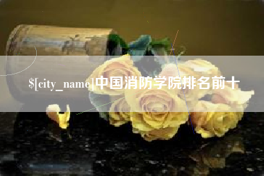 苏州中国消防学院排名前十