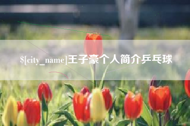 苏州王子豪个人简介乒乓球