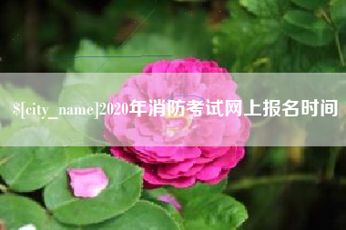 苏州2020年消防考试网上报名时间