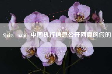 苏州中国执行信息公开网真的假的