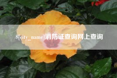 苏州消防证查询网上查询