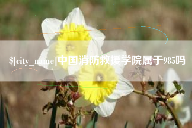 苏州中国消防救援学院属于985吗