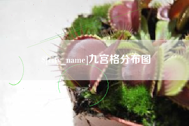 苏州九宫格分布图