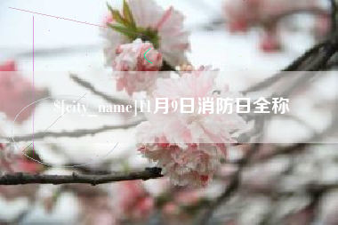 苏州11月9日消防日全称