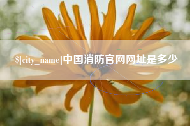 苏州中国消防官网网址是多少