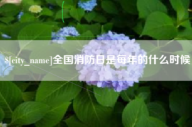 苏州全国消防日是每年的什么时候