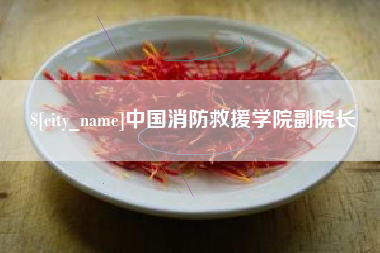 苏州中国消防救援学院副院长