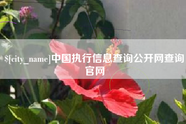 苏州中国执行信息查询公开网查询官网