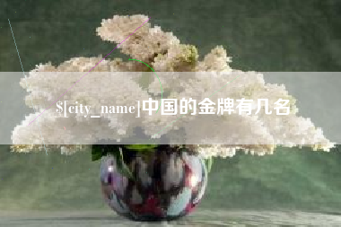 苏州中国的金牌有几名