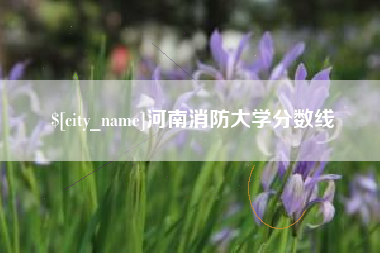 苏州河南消防大学分数线