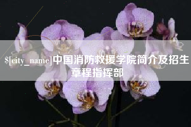 苏州中国消防救援学院简介及招生章程指挥部