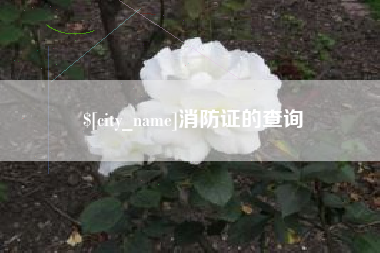 苏州消防证的查询