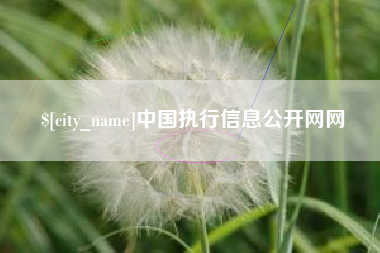 苏州中国执行信息公开网网