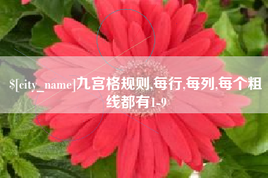 苏州九宫格规则,每行,每列,每个粗线都有1-9