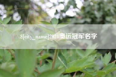 苏州2024奥运冠军名字