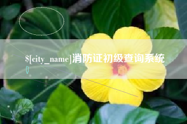 苏州消防证初级查询系统
