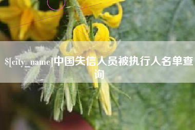 苏州中国失信人员被执行人名单查询