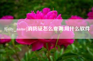 苏州消防证怎么查询,用什么软件