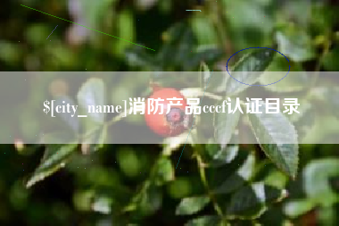 苏州消防产品cccf认证目录